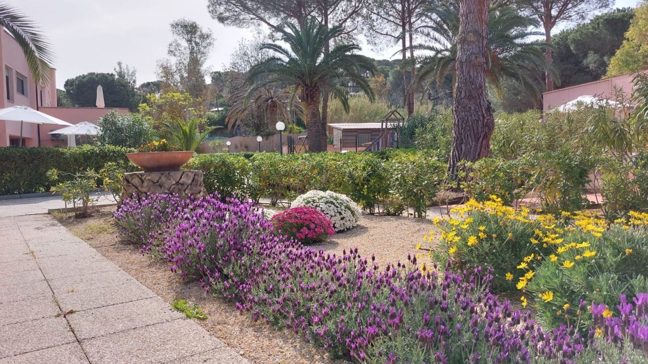 Photo of Outdoor in Lido di Capoliveri