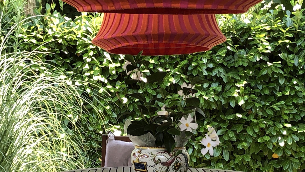 Photo of Outdoor in Marina di Pietrasanta