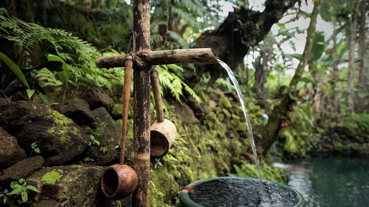Photo of Outdoor in Baturiti