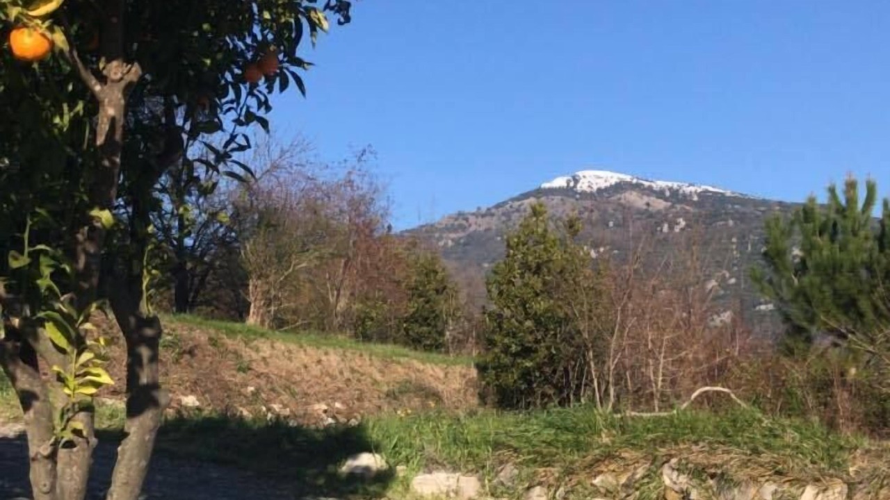 Photo of Outdoor in Le Bar-sur-Loup