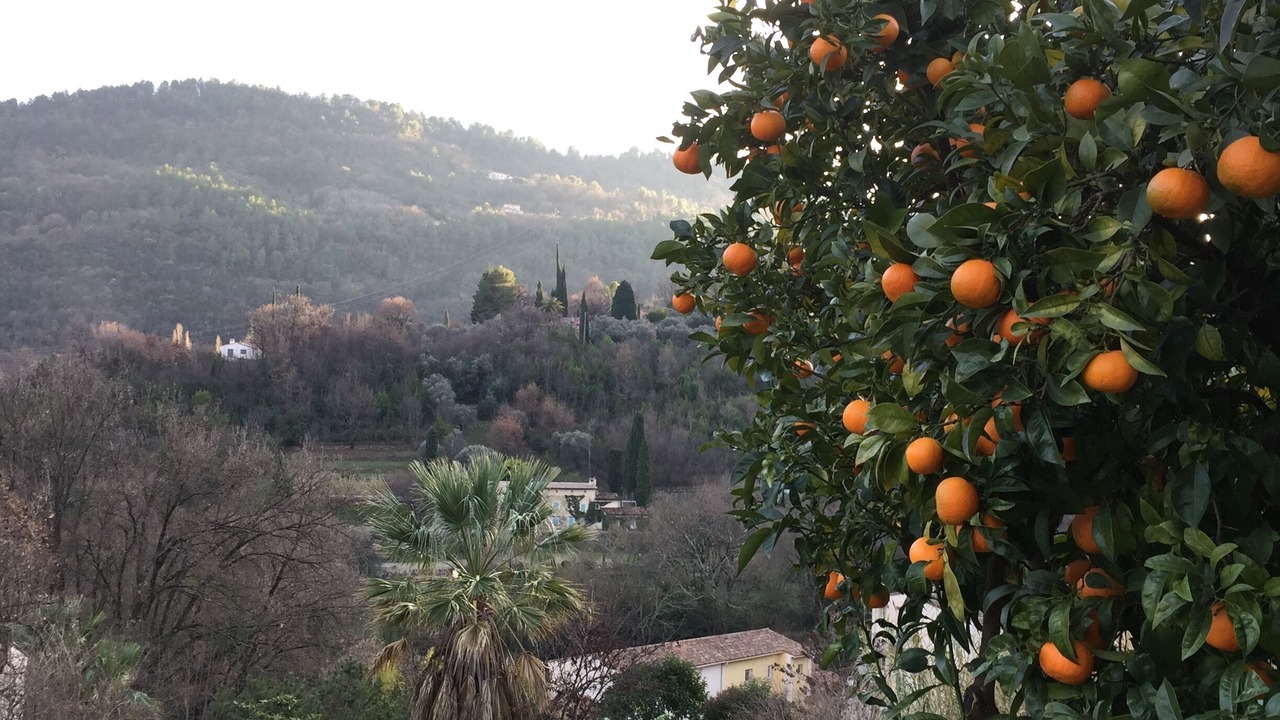 Photo of Outdoor in Le Bar-sur-Loup