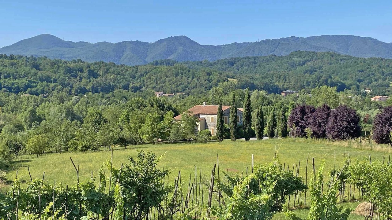Photo of Outdoor in Aulla