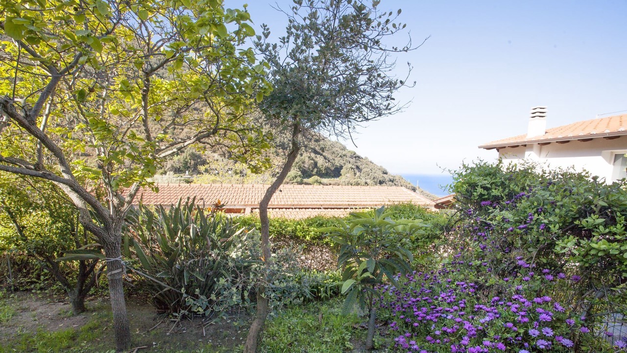 Photo of Outdoor in Zanca