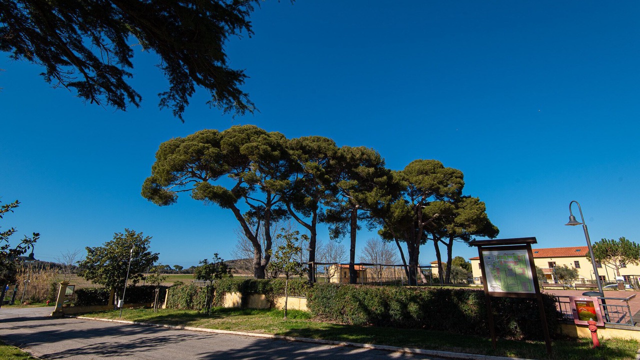 Photo of Outdoor in Piombino
