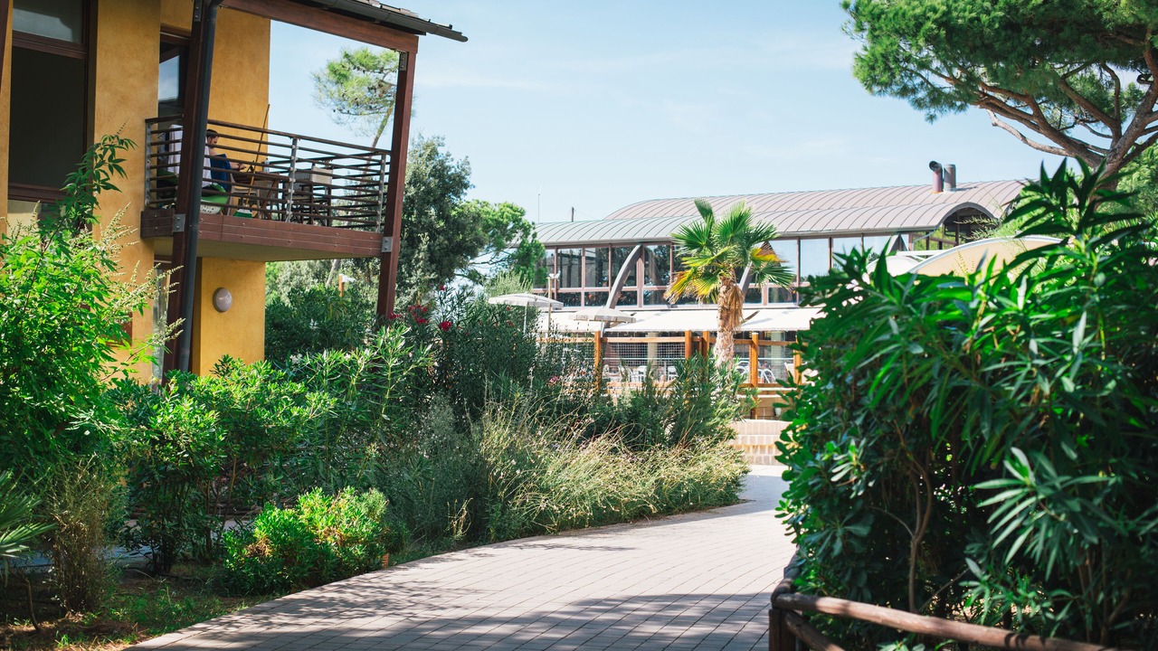 Photo of Outdoor in Donoratico