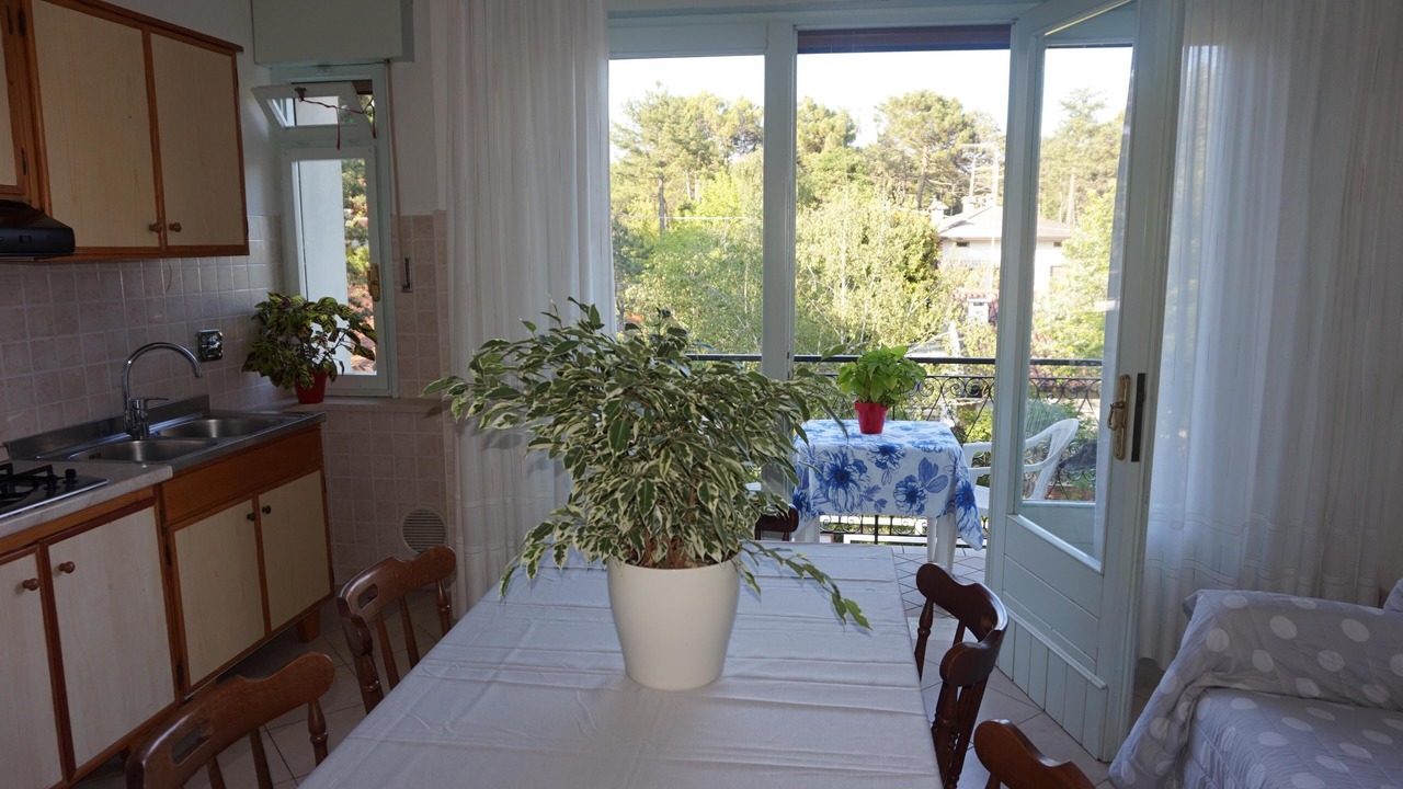 Photo of Others in Lignano Pineta