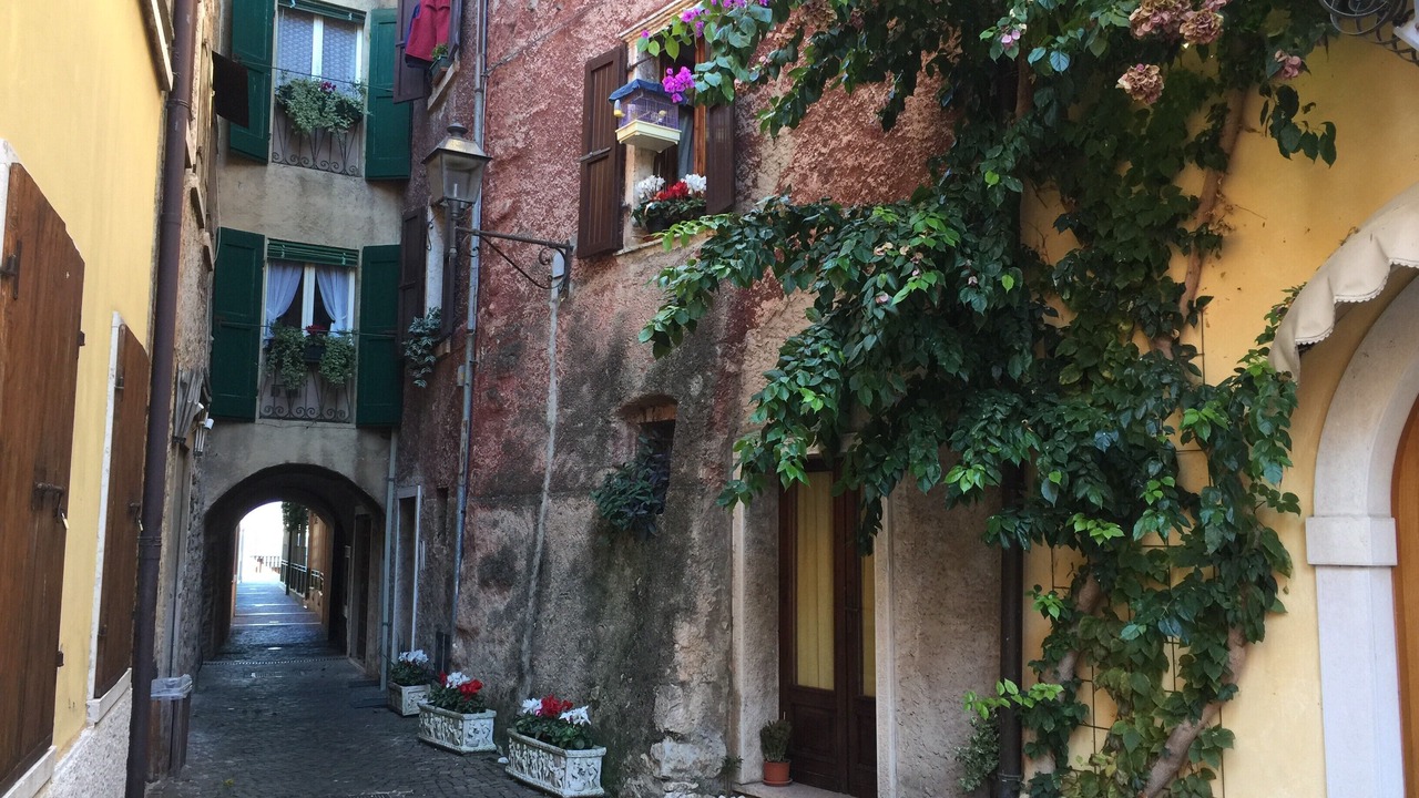 Photo of Outdoor in Frader