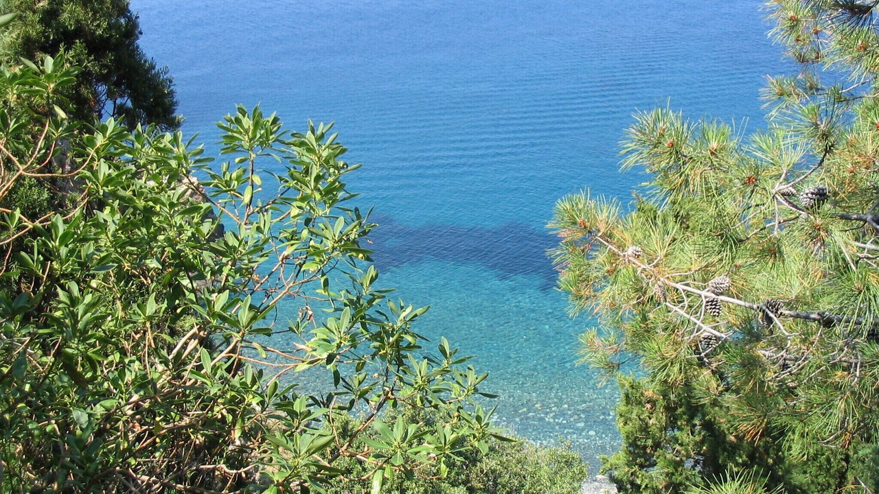 Photo of Others in Patresi