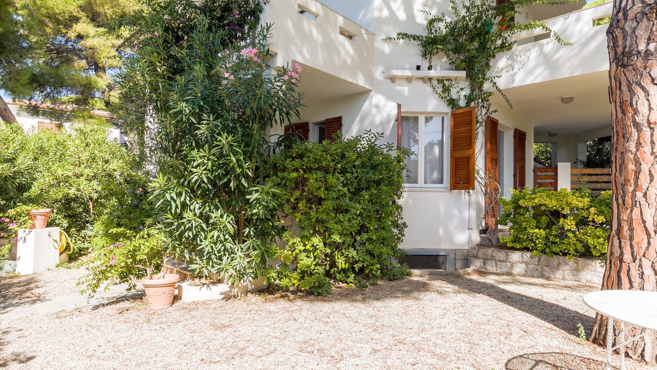 Photo of Outdoor in Marina di Campo