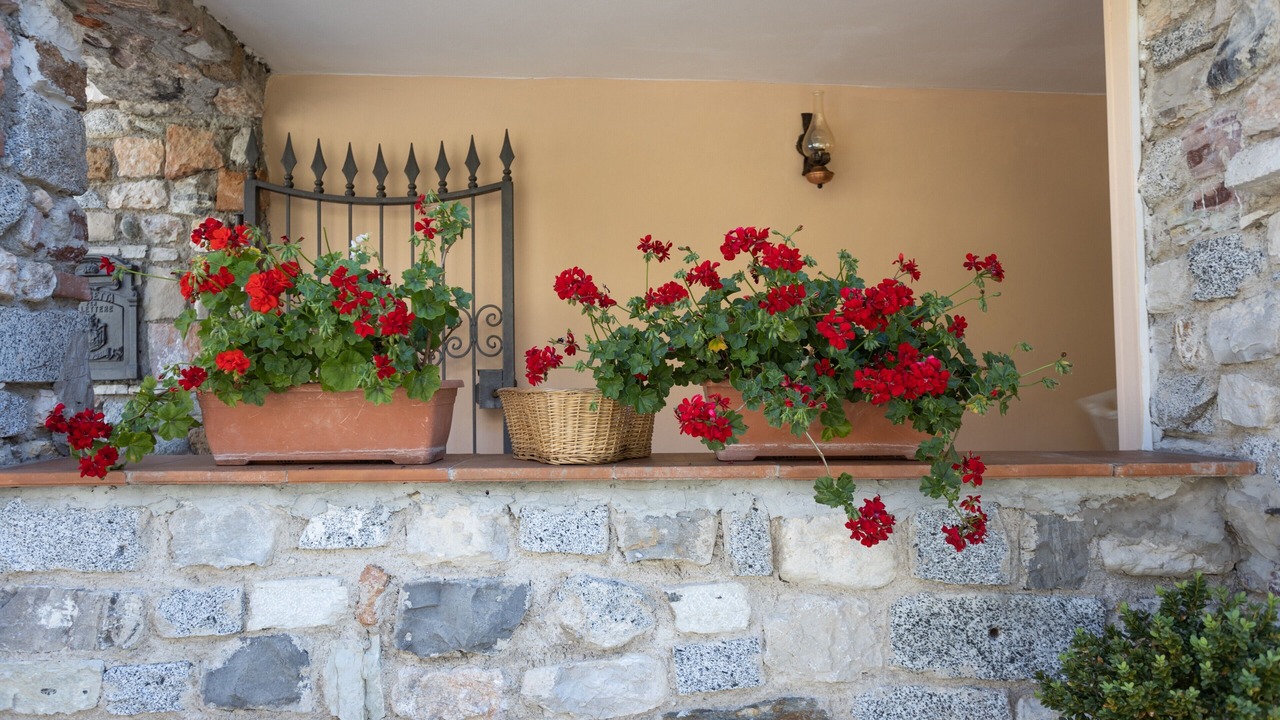 Photo of Outdoor in Tremosine