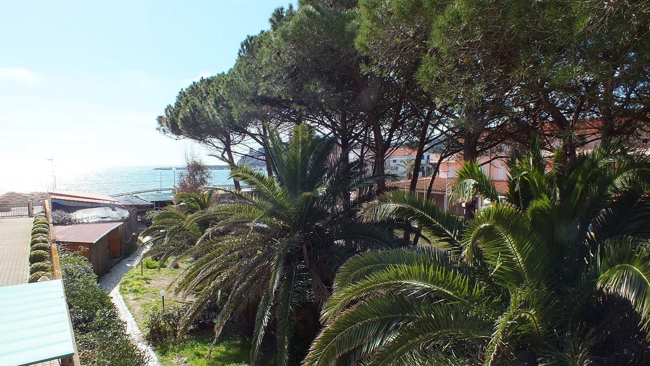 Photo of Others in Marina di Campo