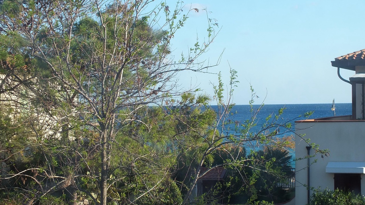 Photo of Outdoor in Marina di Campo