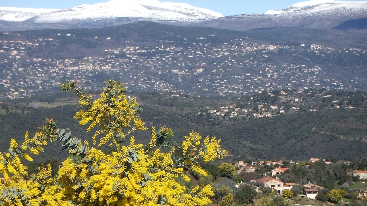 Photo of Outdoor in Tanneron