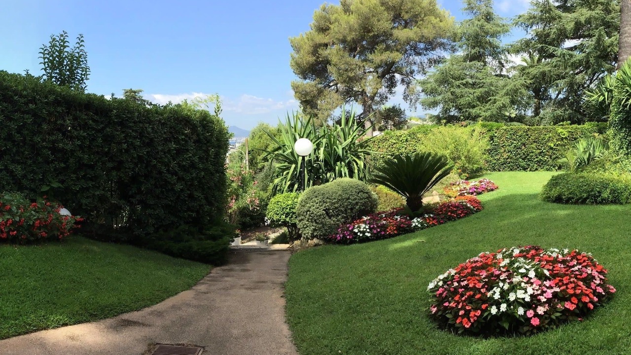 Photo of Outdoor in California - Pezou