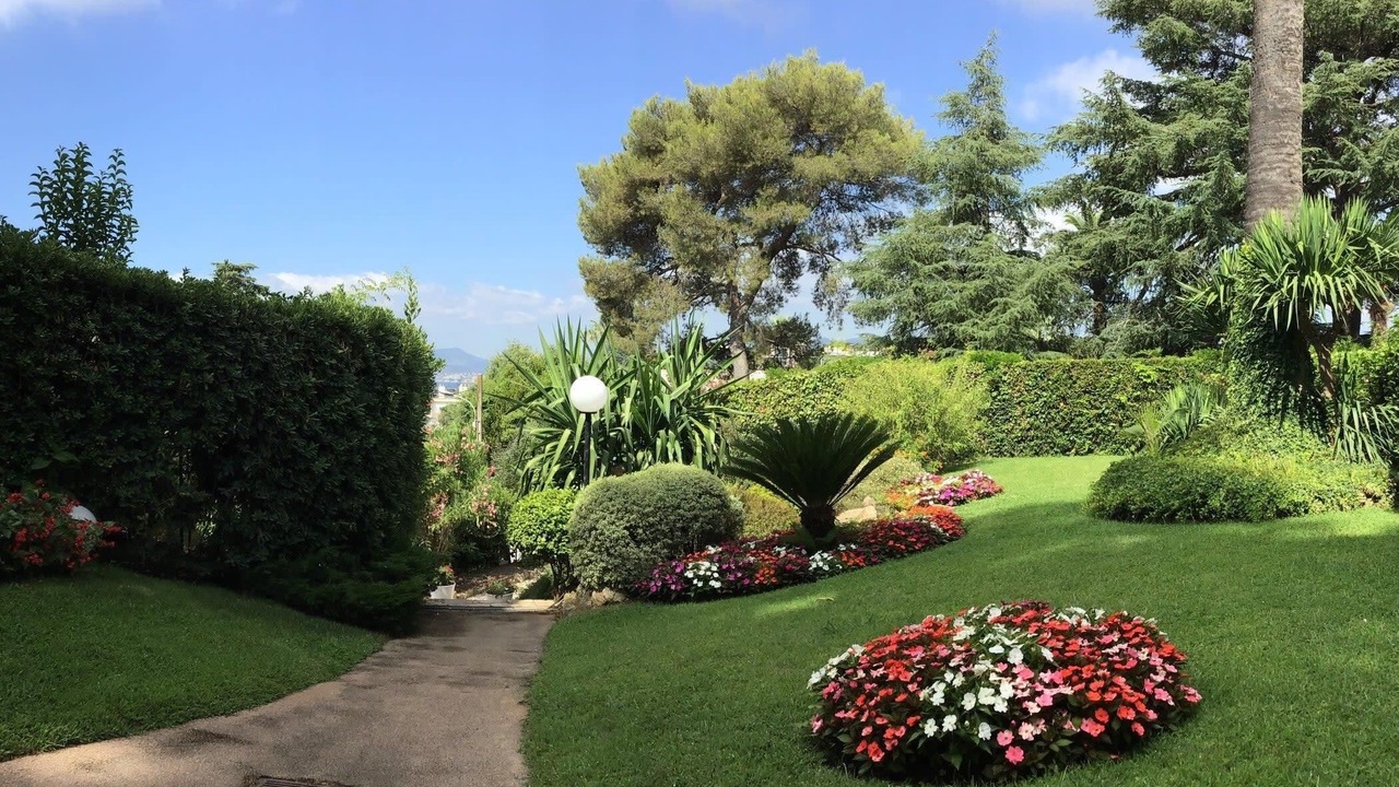Photo of Outdoor in California - Pezou