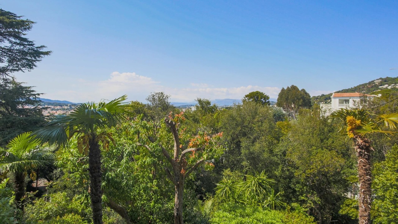 Photo of Outdoor in California - Pezou
