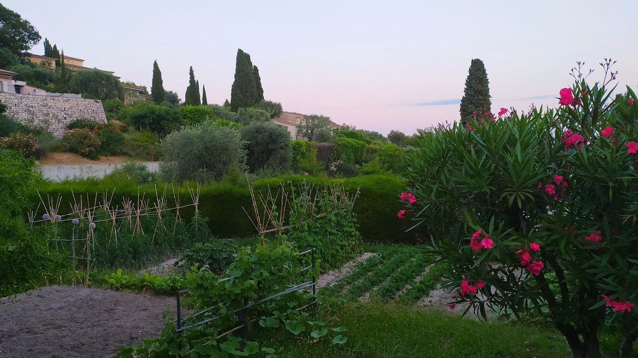 Photo of Outdoor in Gairaut