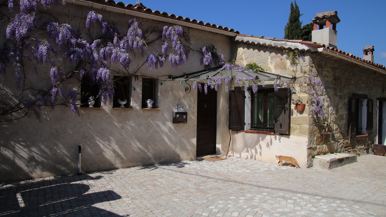 Photo of Outdoor in Contes