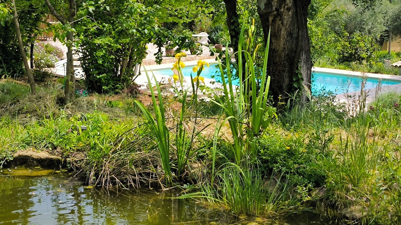 Photo of Outdoor in Contes