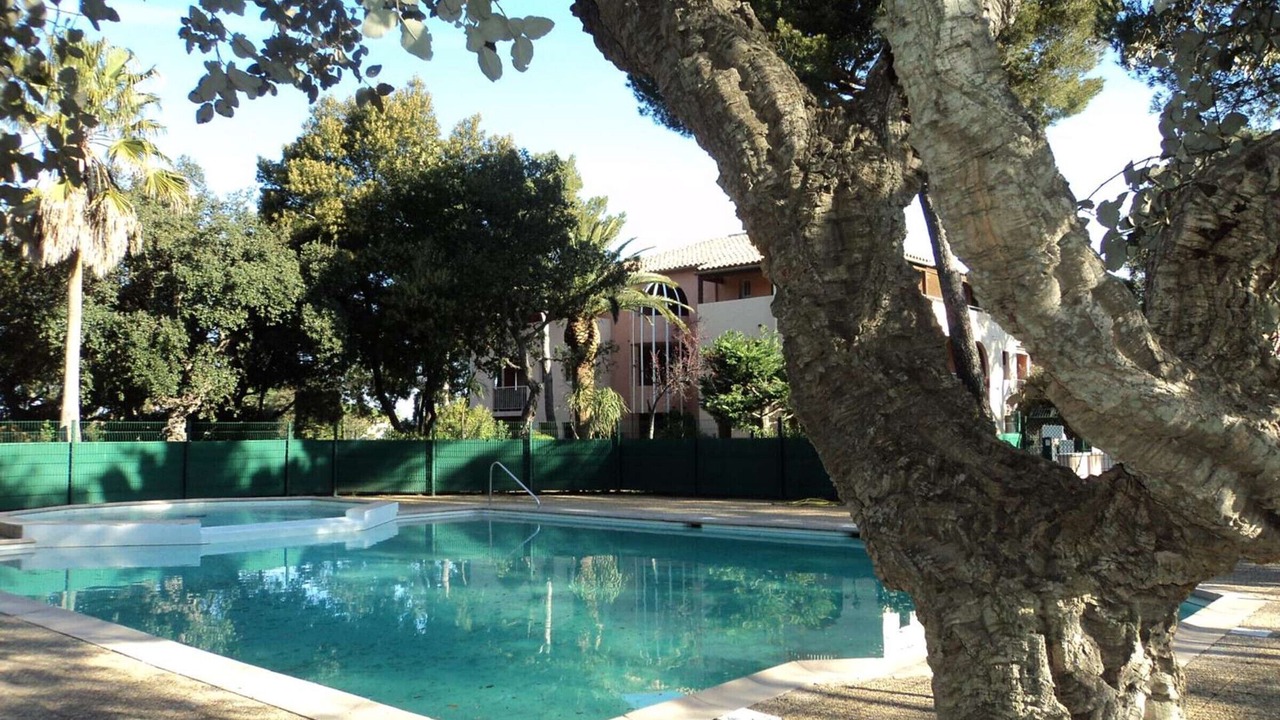 Photo of Outdoor in Saint-Aygulf