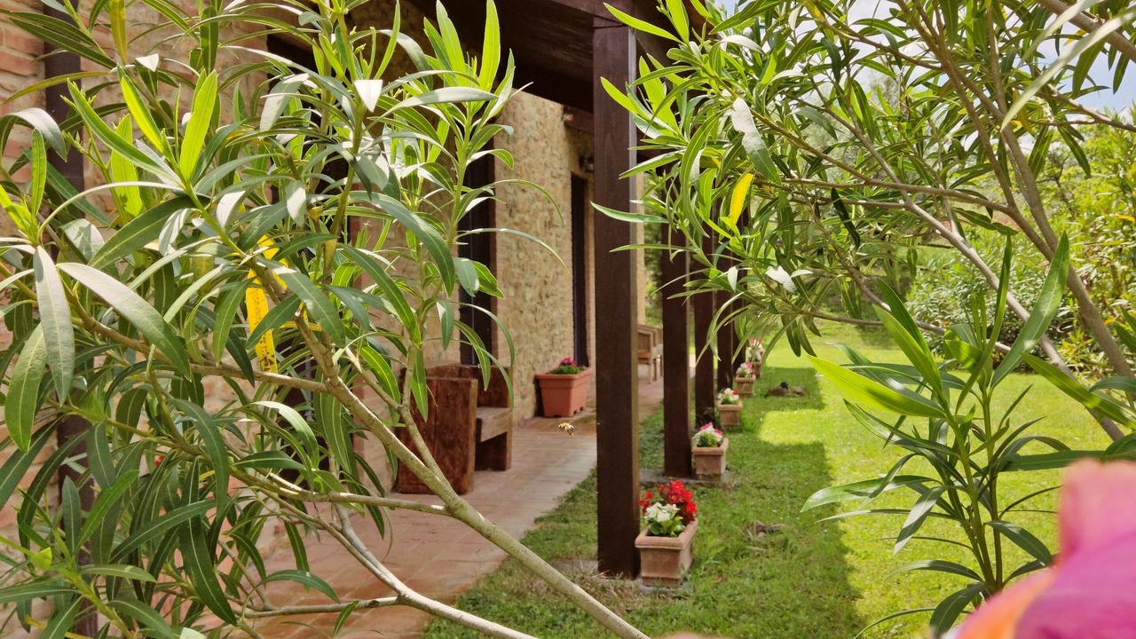 Photo of Outdoor in Volterra