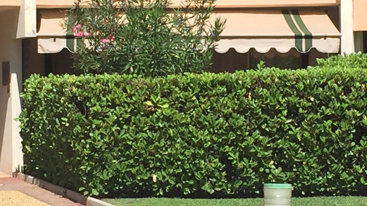 Photo of Outdoor in La Napoule