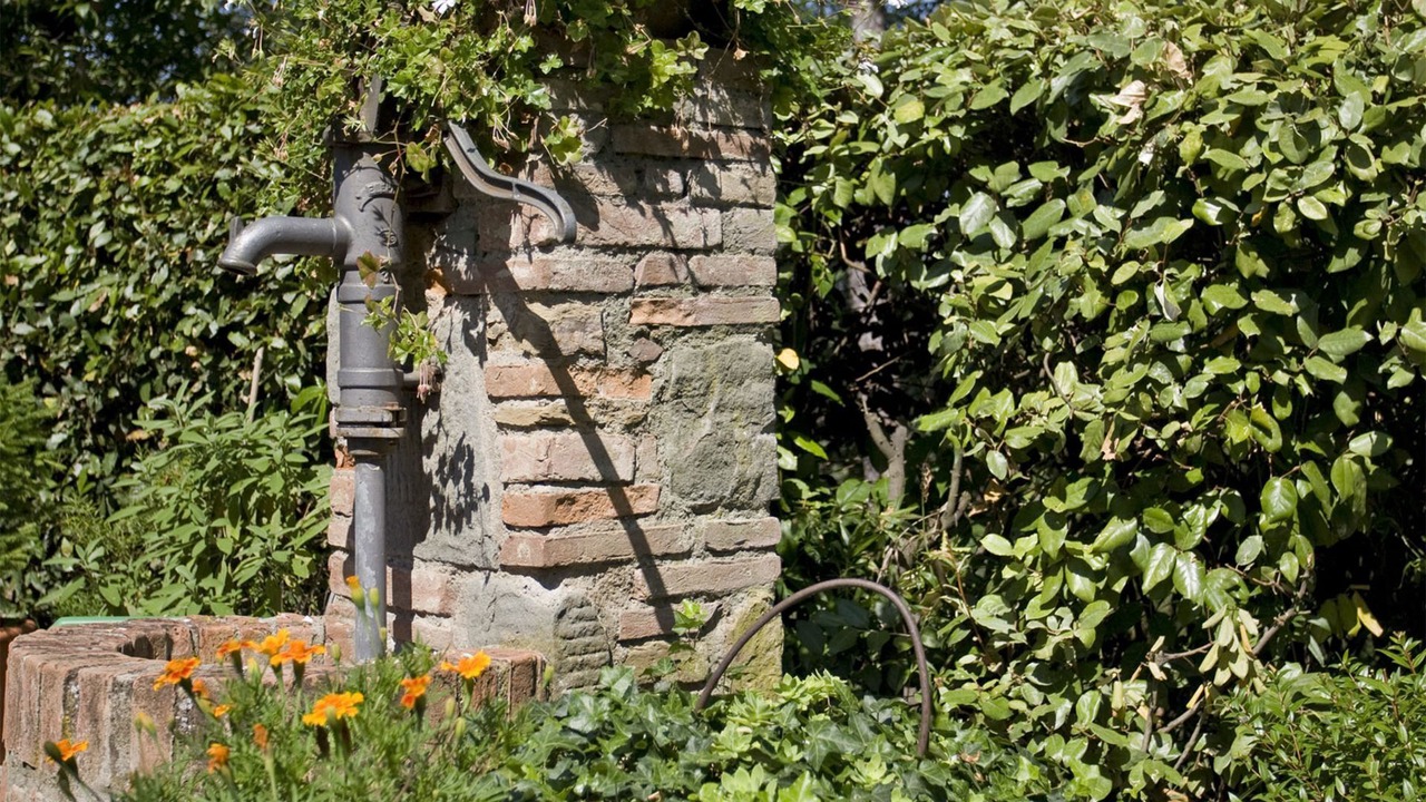 Photo of Outdoor in Palaia
