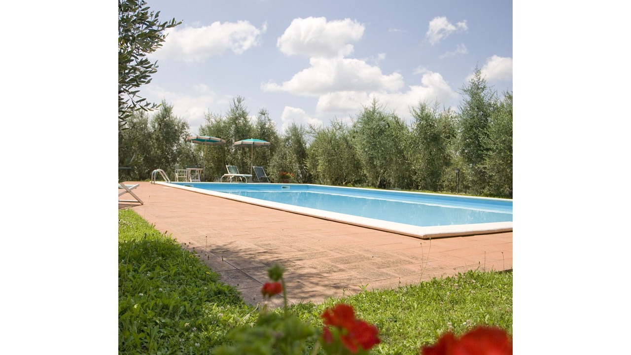 Photo of Outdoor in Palaia