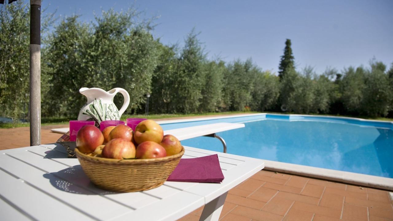 Photo of Outdoor in Palaia
