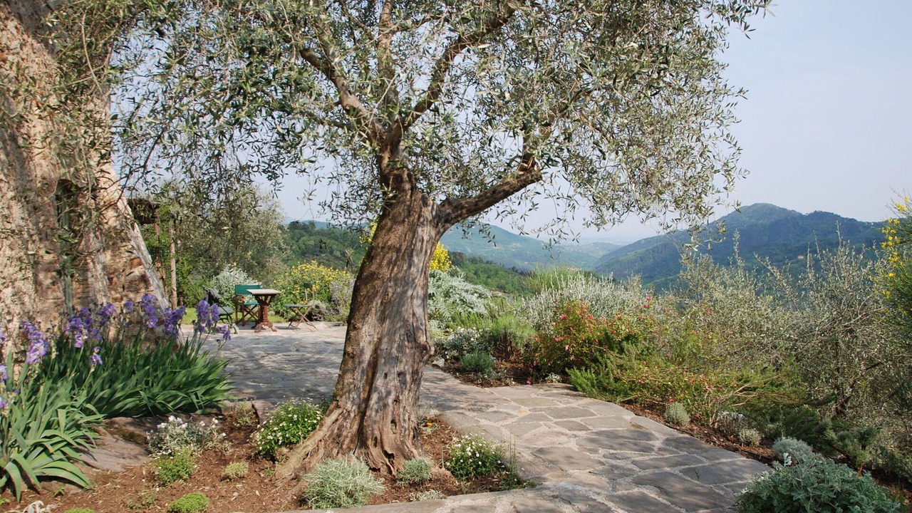 Photo of Outdoor in Villabuona