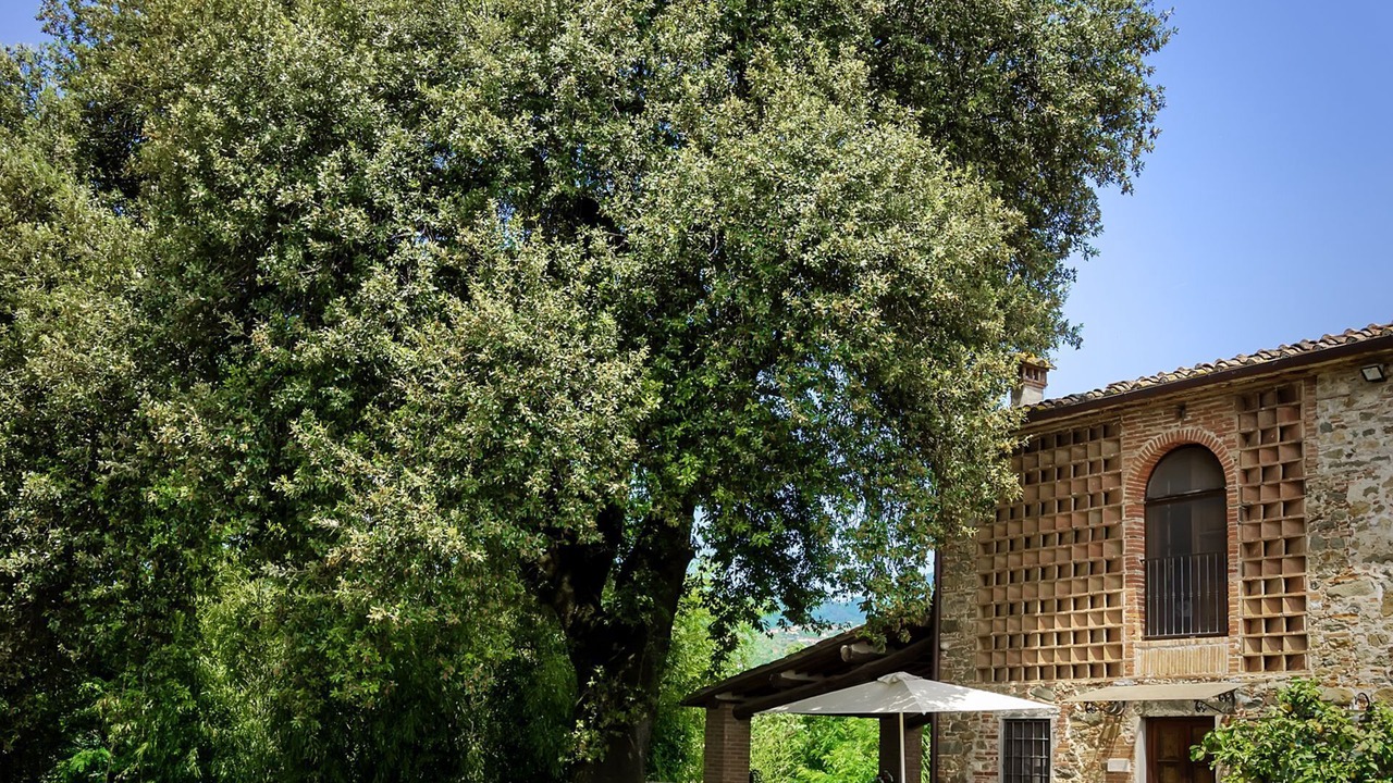Photo of Outdoor in Capannori
