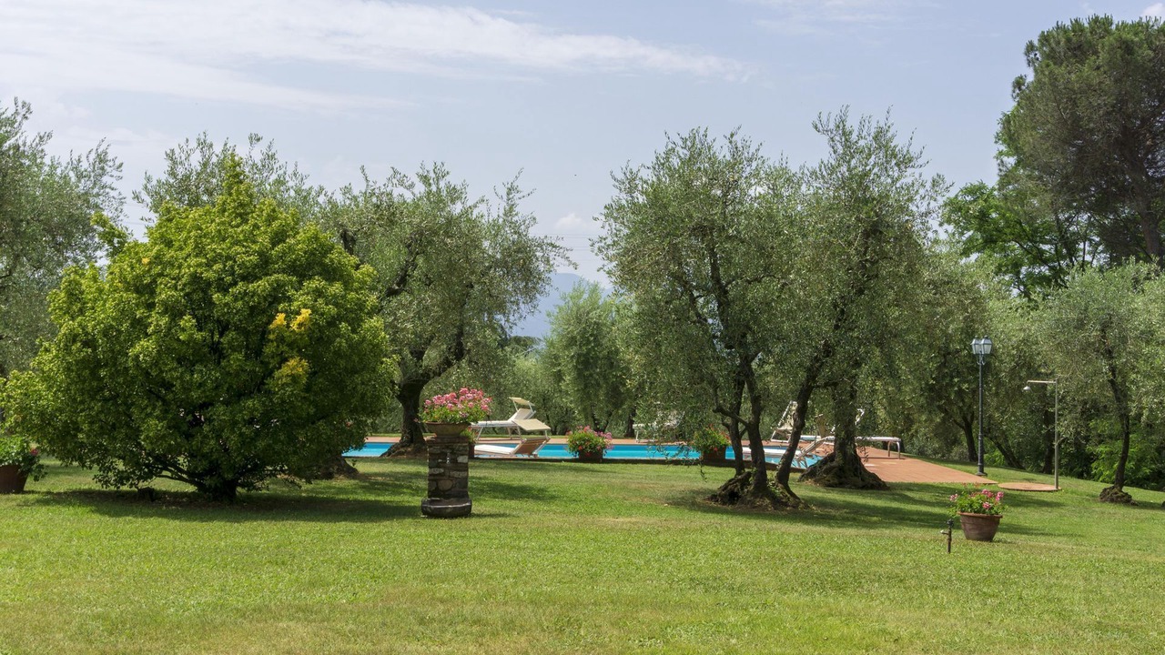 Photo of Outdoor in Capannori