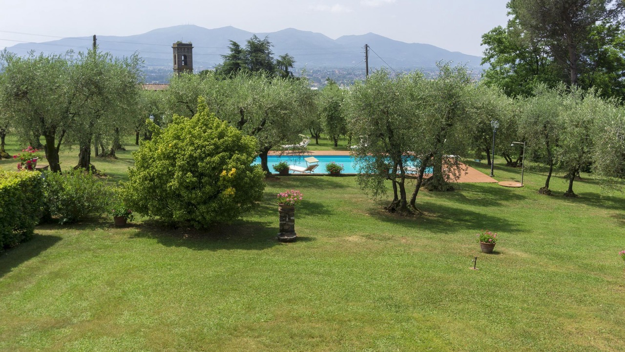 Photo of Outdoor in Capannori
