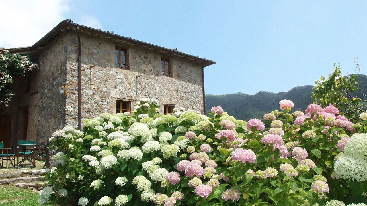 Photo of Outdoor in Pescaglia