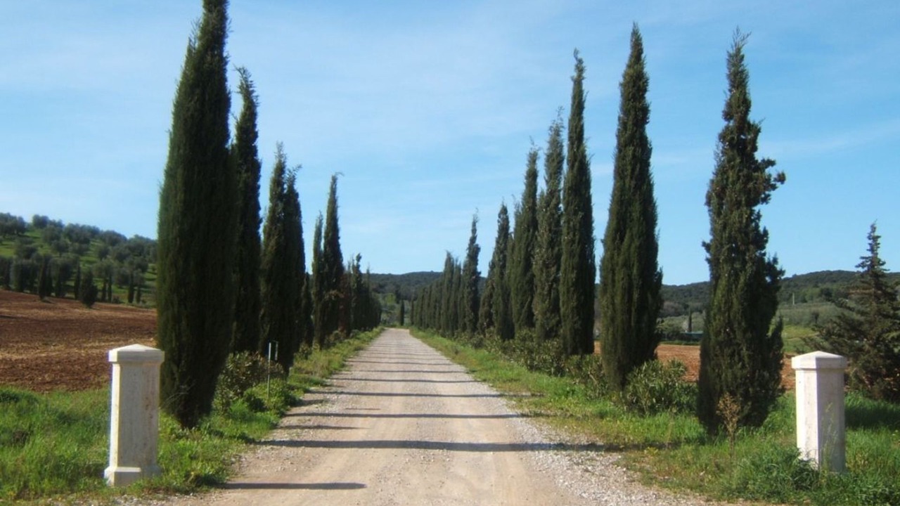 Photo of Others in Follonica
