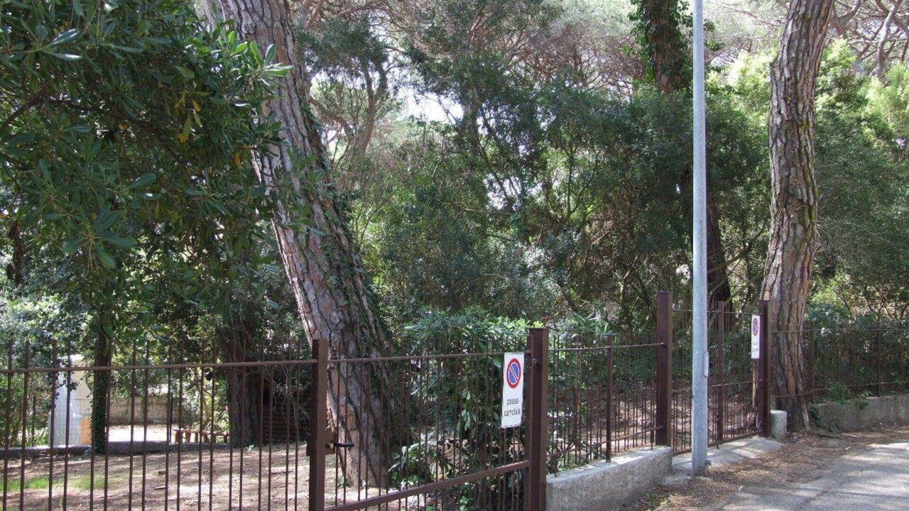 Photo of Outdoor in Marina di Castagneto Carducci
