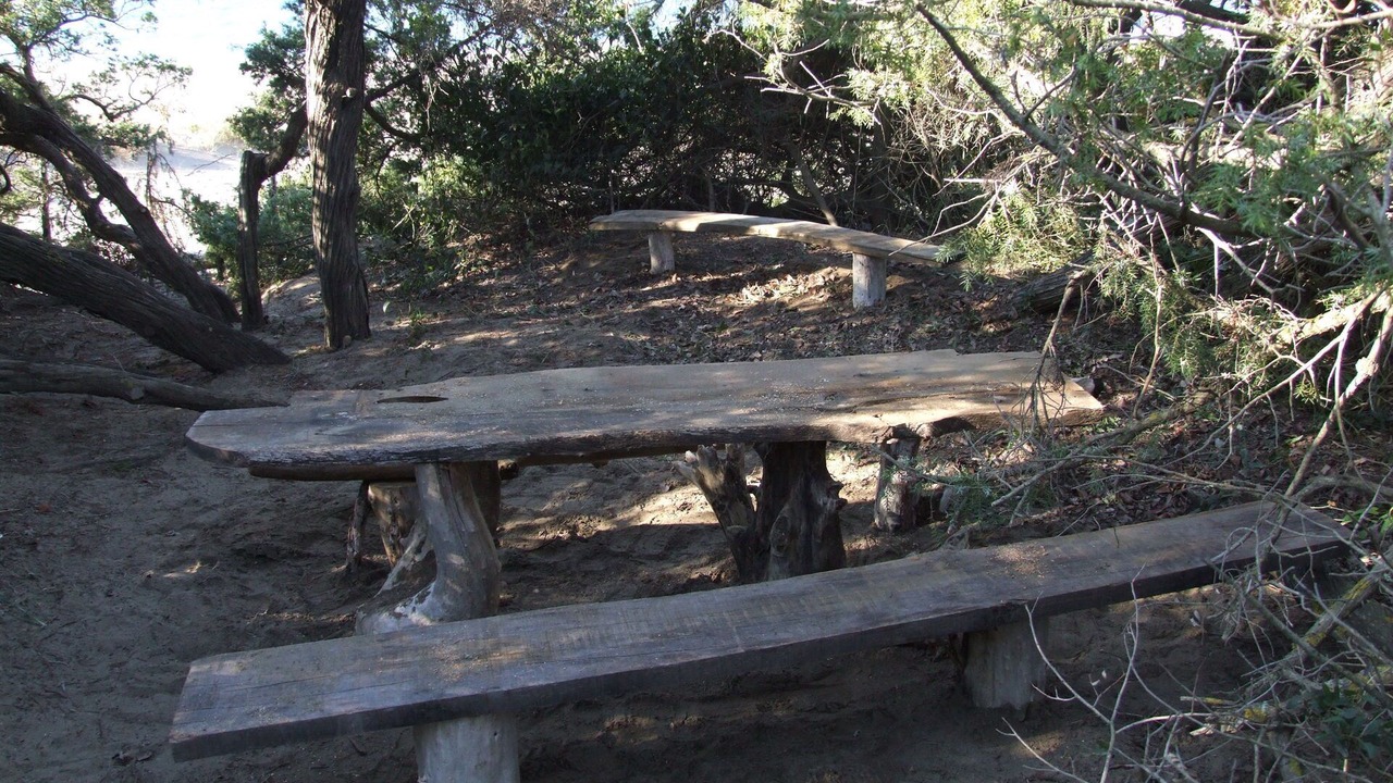 Photo of Outdoor in Marina di Castagneto Carducci