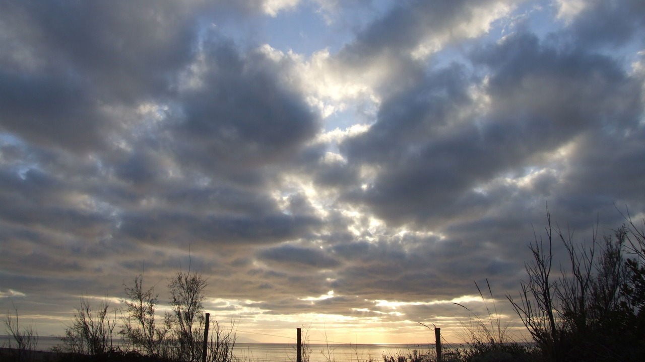 Photo of Others in Marina di Castagneto Carducci