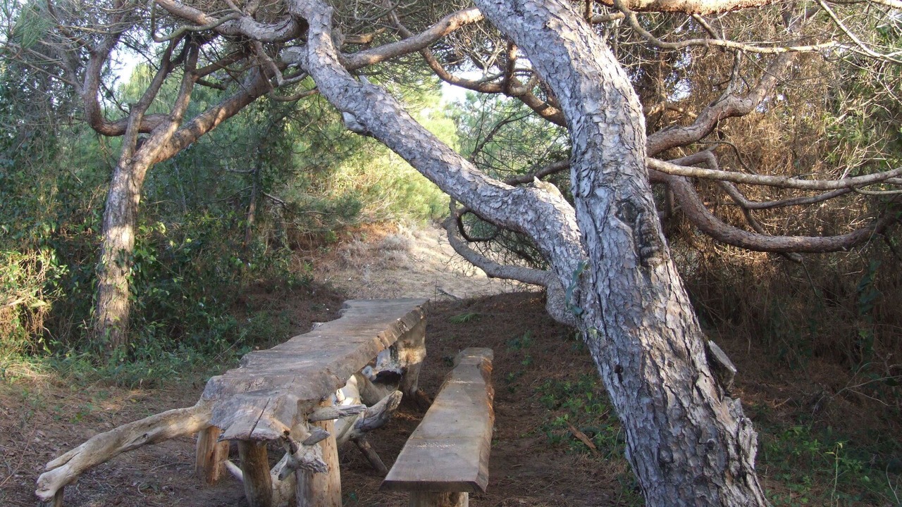 Photo of Outdoor in Marina di Castagneto Carducci