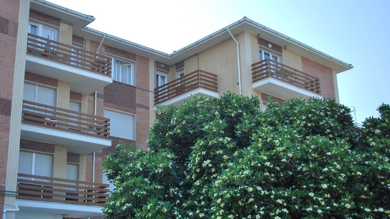 Photo of Others in Marina di Castagneto Carducci