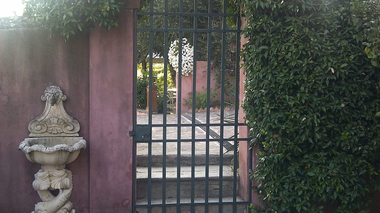 Photo of Others in Massarosa