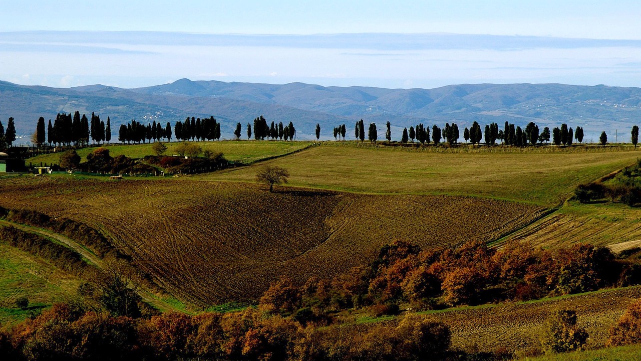 Photo of Outdoor in Volterra