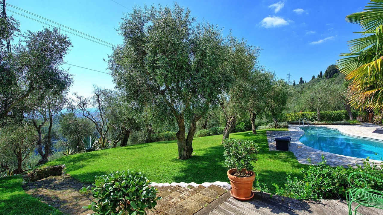 Photo of Outdoor in Pietrasanta