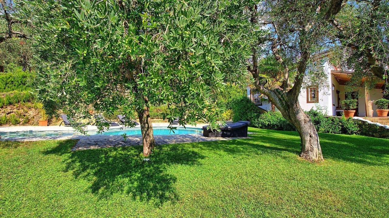Photo of Outdoor in Pietrasanta