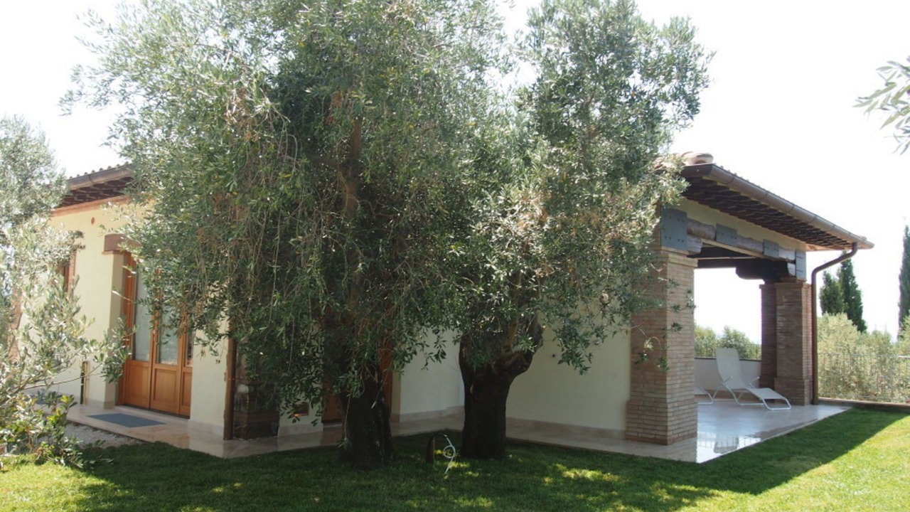 Photo of Others in Follonica