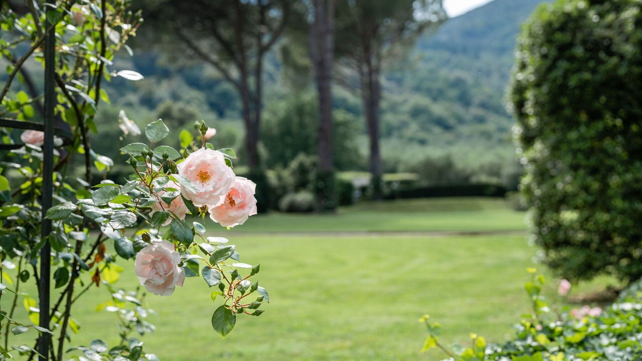 Photo of Outdoor in Vicopelago