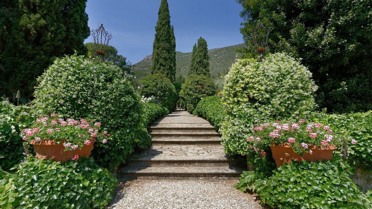 Photo of Outdoor in Vicopelago