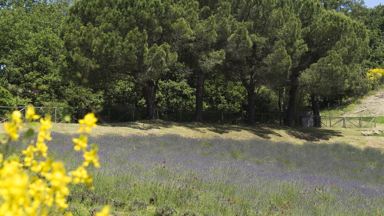 Photo of Outdoor in Volterra