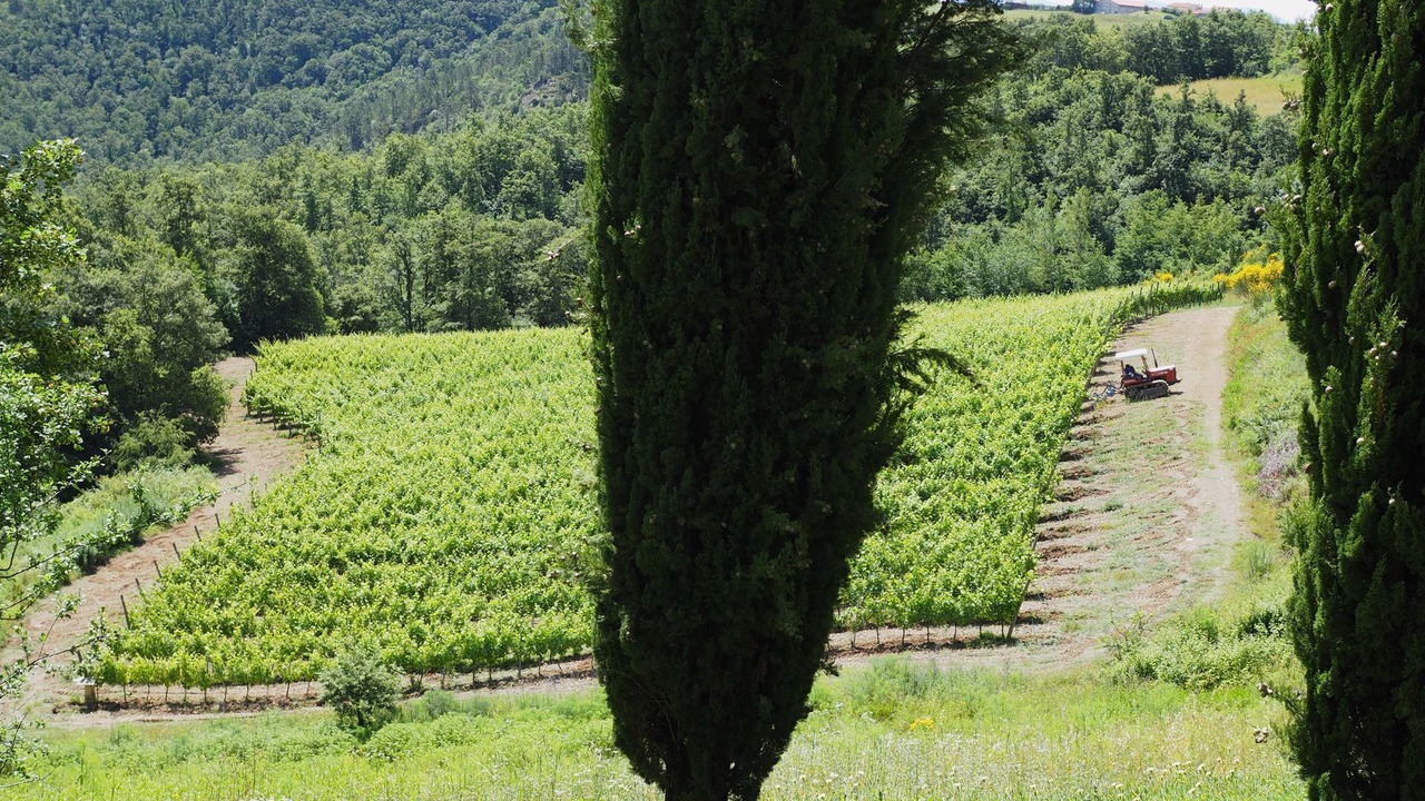 Photo of Outdoor in Volterra