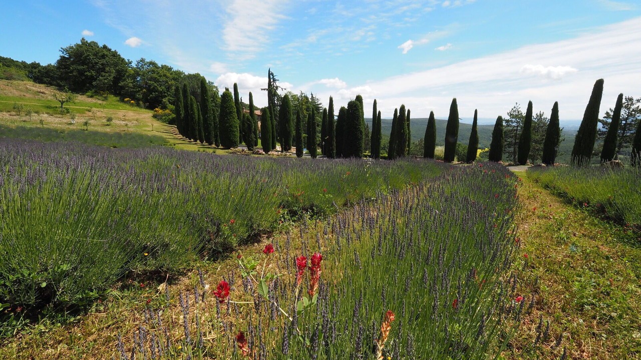 Photo of Others in Volterra